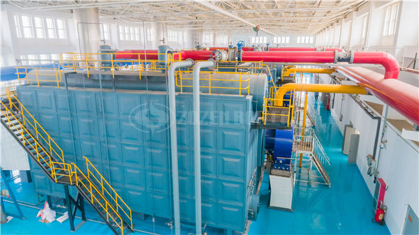 生物質(zhì)蒸汽鍋爐