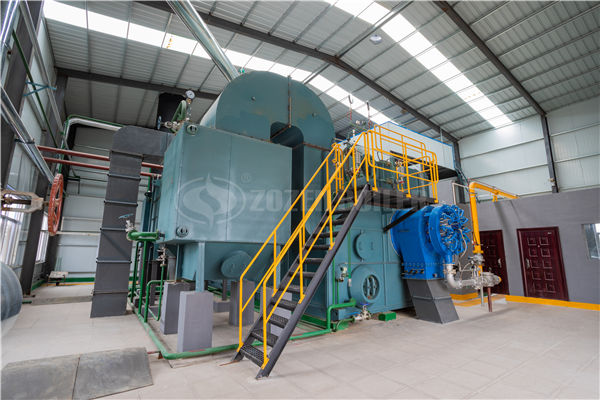 燃油熱水鍋爐WNS