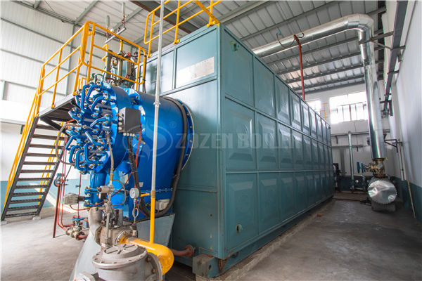 新能源秸稈料鍋爐