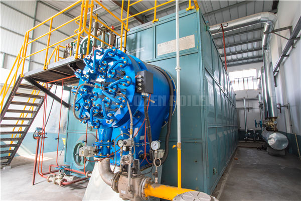 25噸燃?xì)庹羝仩t價(jià)格