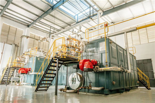 江蘇雙良燃?xì)忮仩t