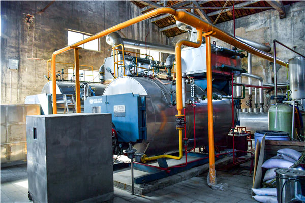 每天能做800斤煎餅的燃氣蒸汽鍋爐