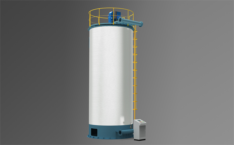 100噸燃?xì)忮仩t實(shí)拍