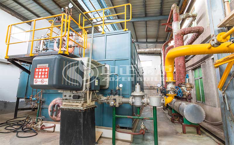 100噸燃?xì)忮仩t客戶案例圖片