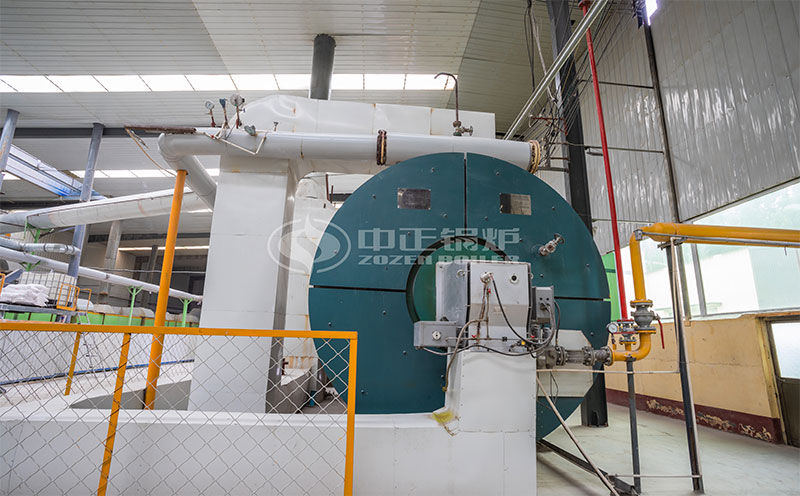 天然氣蒸汽鍋爐價(jià)格客戶案例圖片