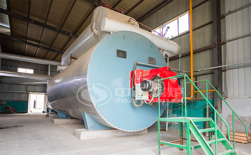 220t循環流化床節能型鍋爐價格客戶案例圖片