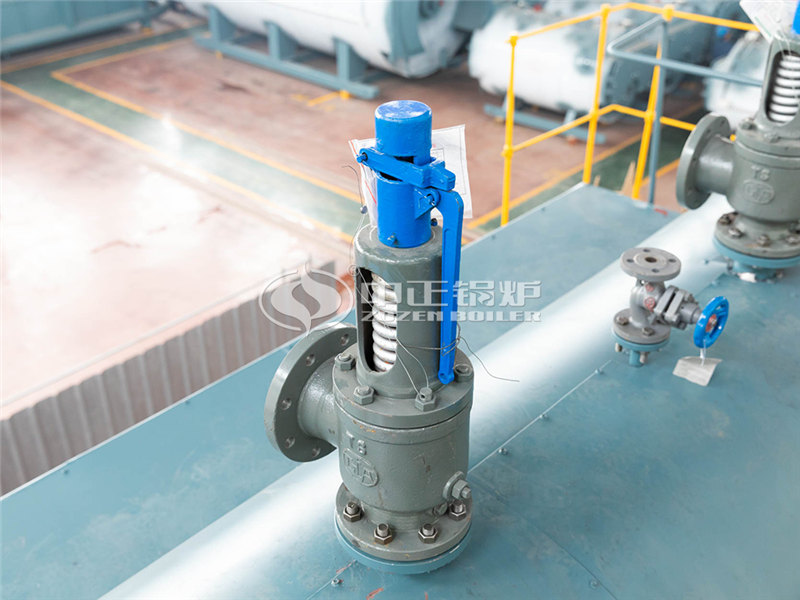 20噸燃?xì)庹羝仩t大廠