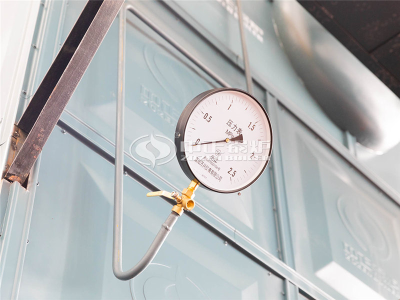 WNS燃?xì)庹羝仩t廠