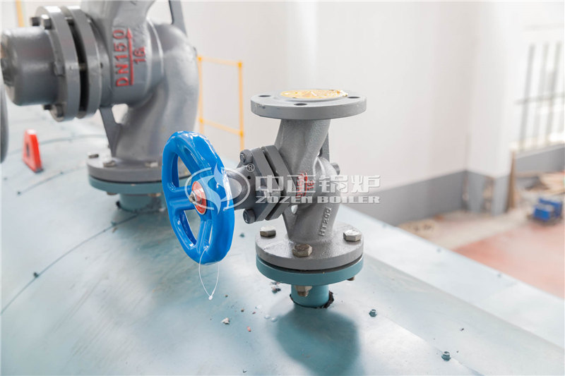 WNS燃?xì)庹羝仩t多少萬(wàn)元買(mǎi)到