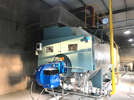 燃?xì)忮仩t廠(chǎng)家